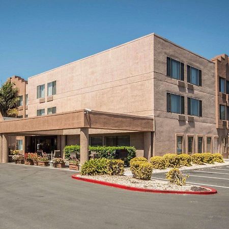 Comfort Inn Silicon Valley East Φρέμοντ Εξωτερικό φωτογραφία