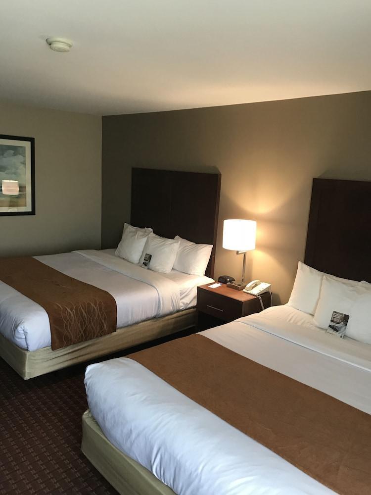 Comfort Inn Silicon Valley East Φρέμοντ Εξωτερικό φωτογραφία