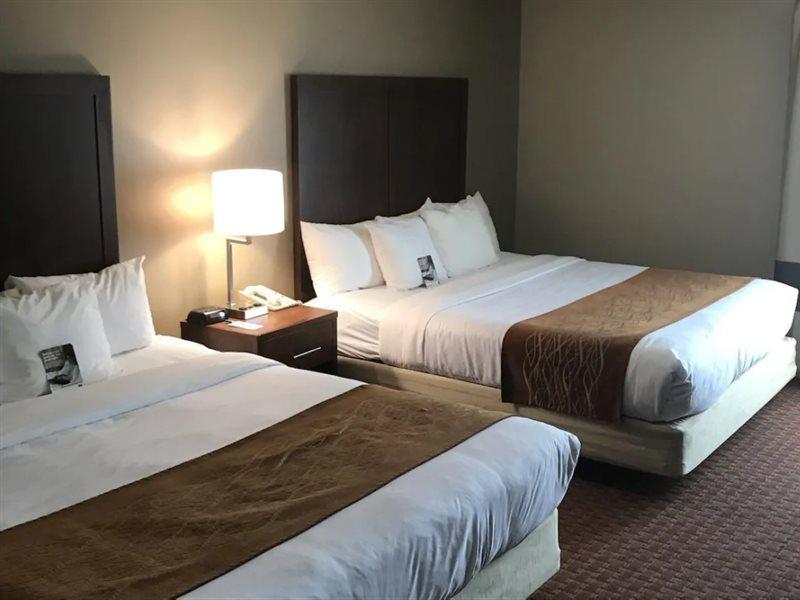 Comfort Inn Silicon Valley East Φρέμοντ Εξωτερικό φωτογραφία