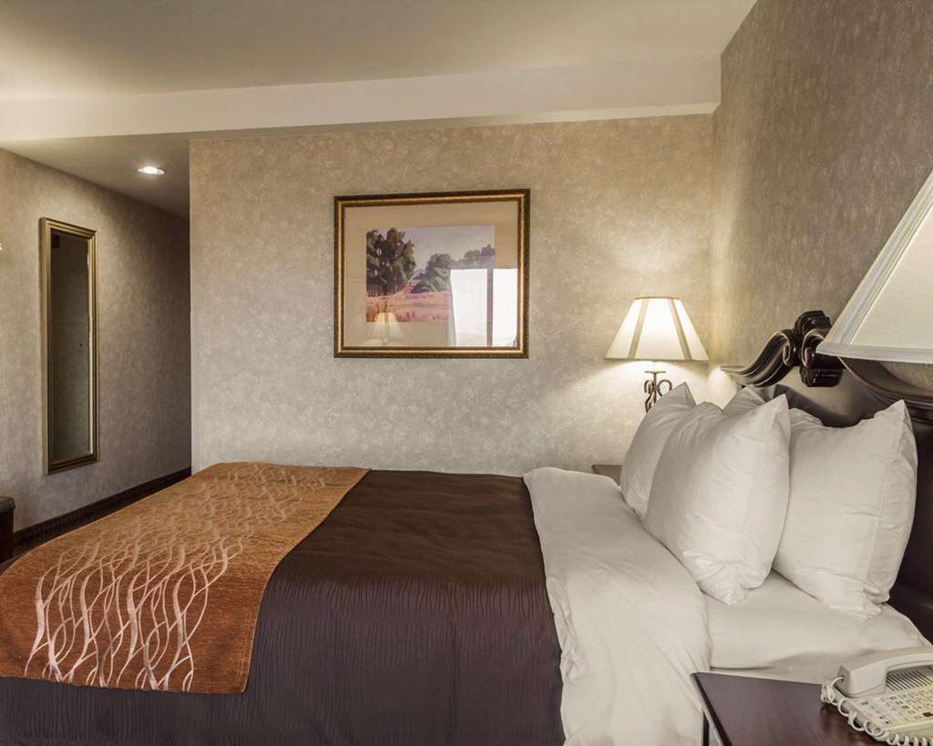 Comfort Inn Silicon Valley East Φρέμοντ Δωμάτιο φωτογραφία