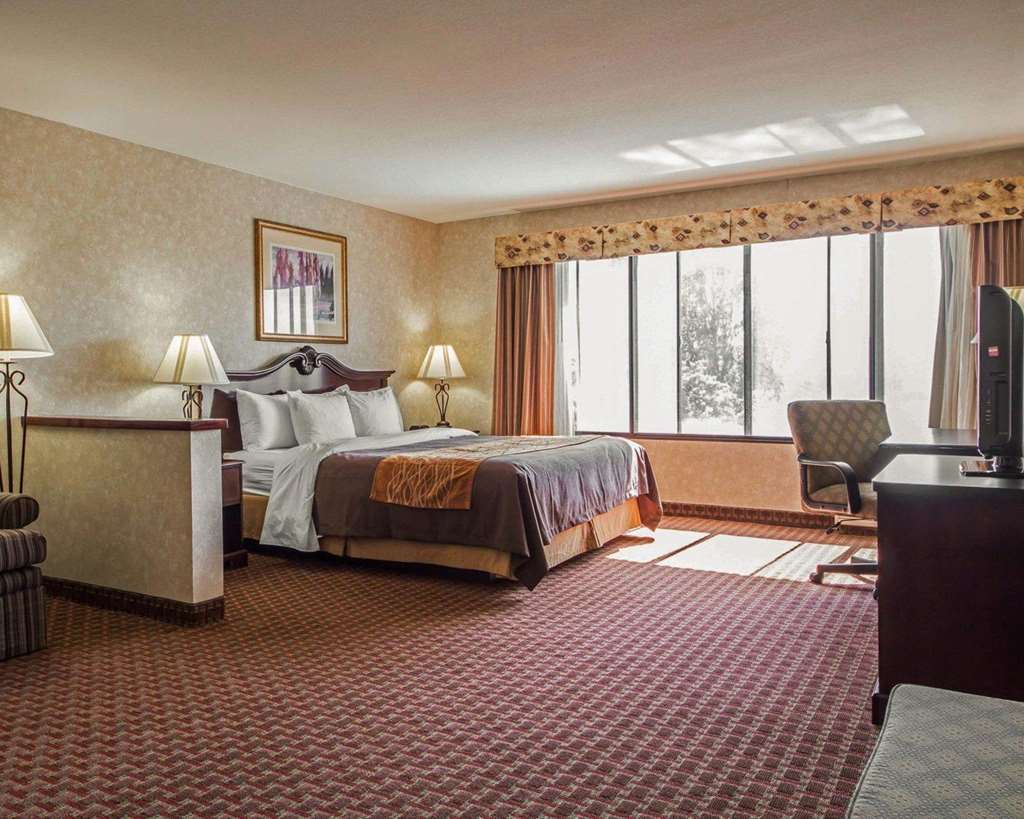Comfort Inn Silicon Valley East Φρέμοντ Δωμάτιο φωτογραφία