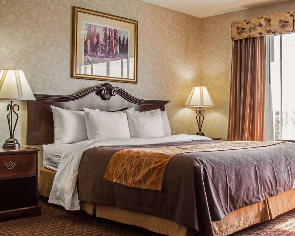 Comfort Inn Silicon Valley East Φρέμοντ Δωμάτιο φωτογραφία