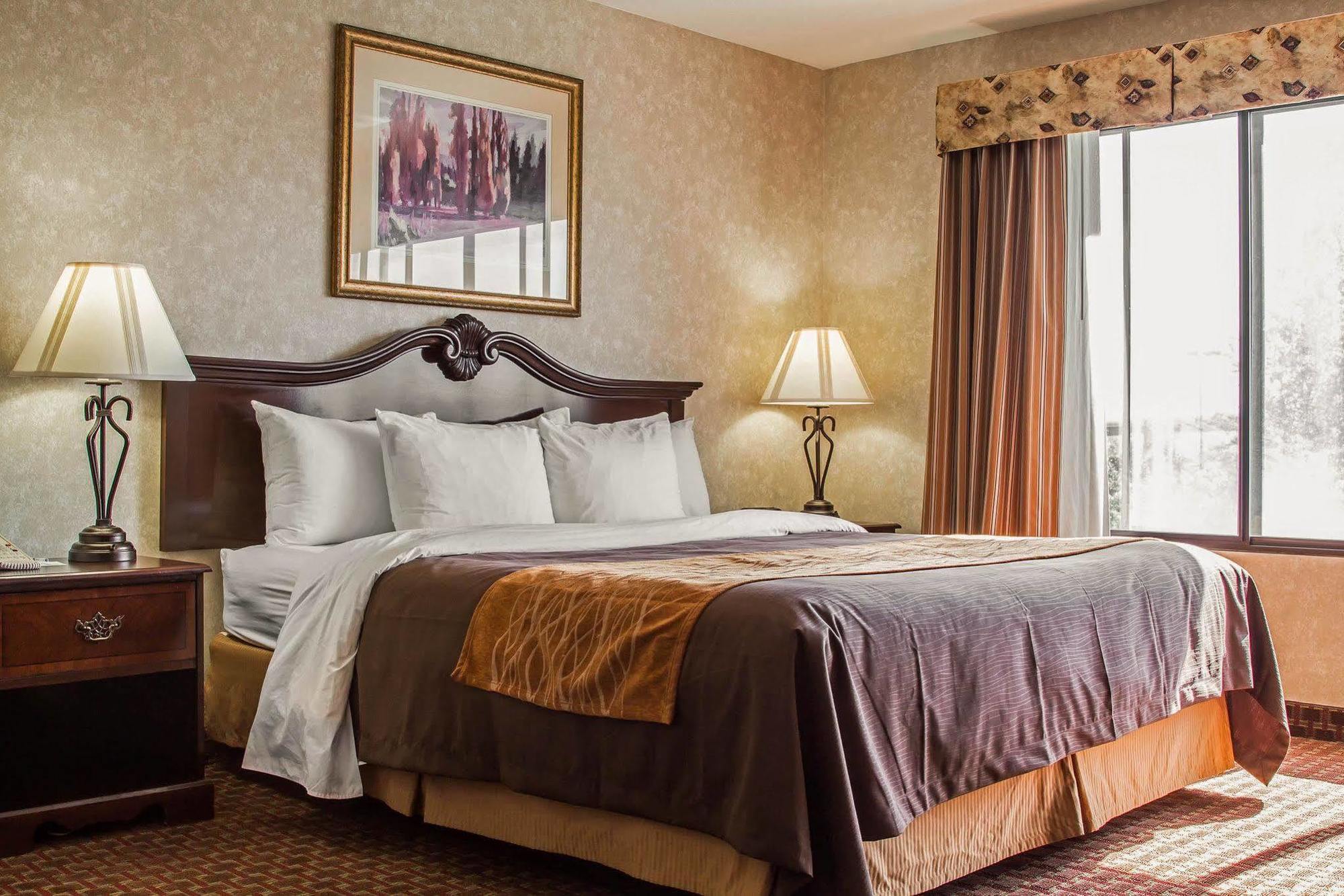Comfort Inn Silicon Valley East Φρέμοντ Εξωτερικό φωτογραφία